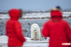 ̽Ѱ�＾���������ƣ�Я������ô����ξ����Ϸ���ȥ���ô�����Ȼ��ҡ��